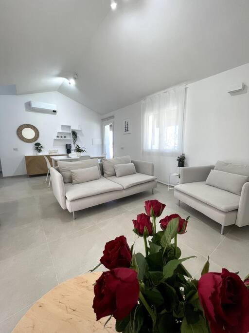 Ami Villa *